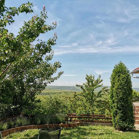 Casa Anca Hotel Cojocna Екстериор снимка