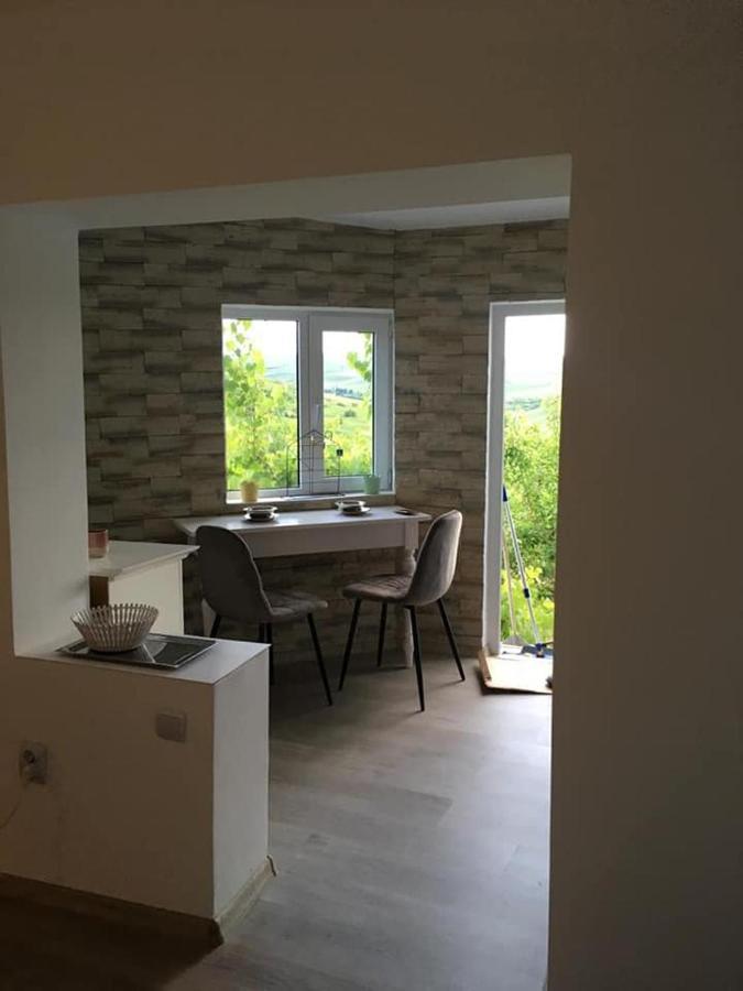 Casa Anca Hotel Cojocna Екстериор снимка